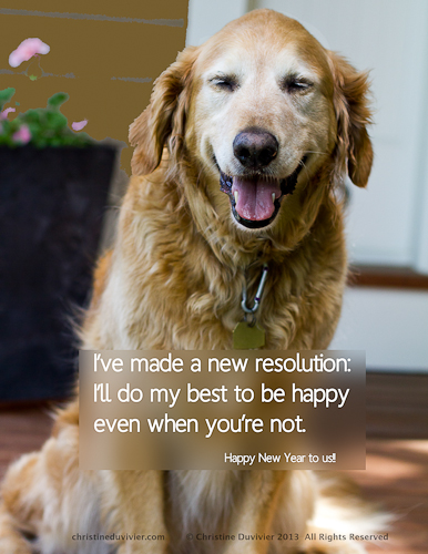 Happy Golden Retriever Photo and Quote