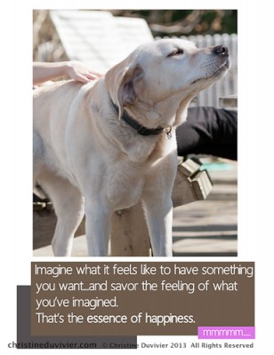 Photo of yellow lab, nose up sniffing and savoring the air